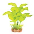 Silk Plant - Large Leaf Green
