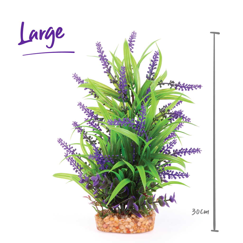Plush Plant - Thin Leaf With Purple Flower
