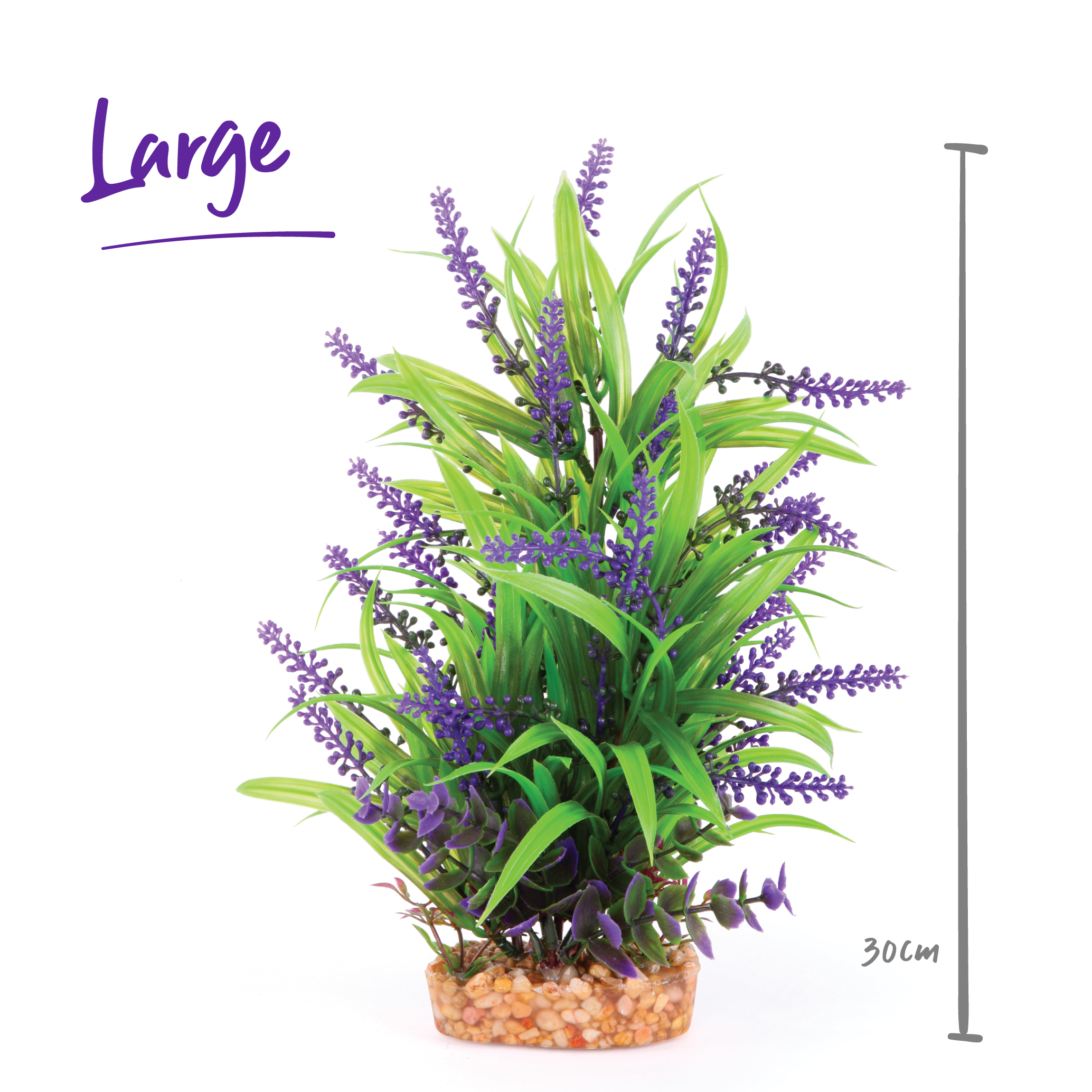Plush Plant - Thin Leaf With Purple Flower