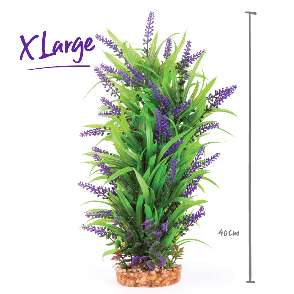 Plush Plant - Thin Leaf With Purple Flower