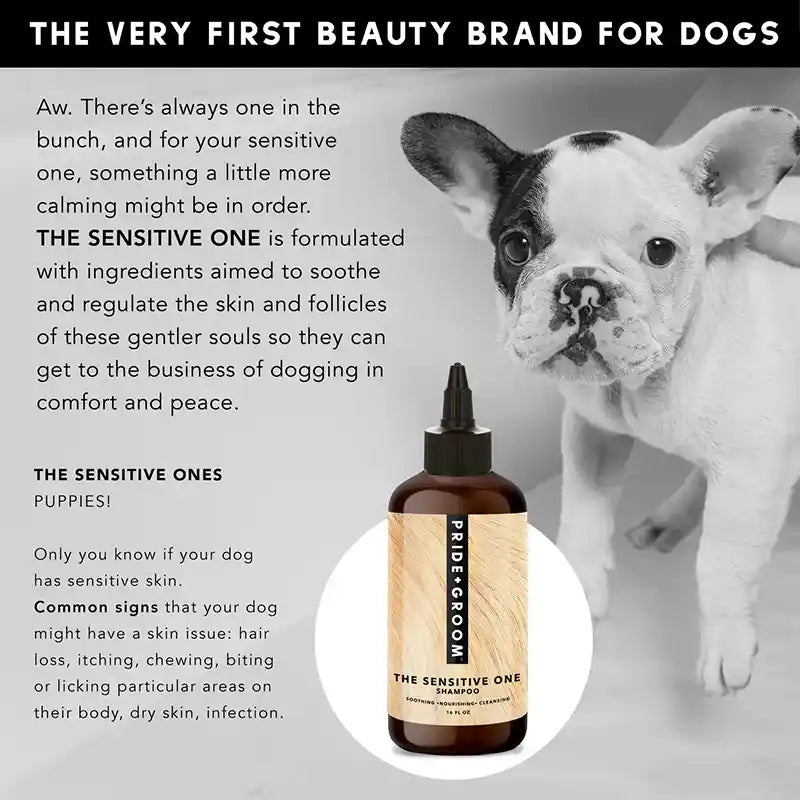 The Sensitive One - Shampoo for Sensitive Skin + Puppies